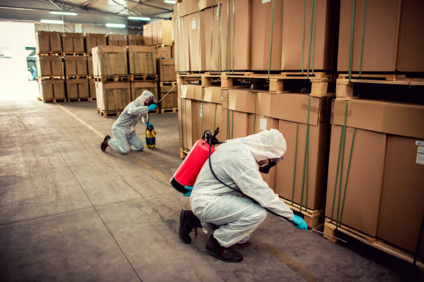 Best Ant Control Services  in Atlantic Beach, FL