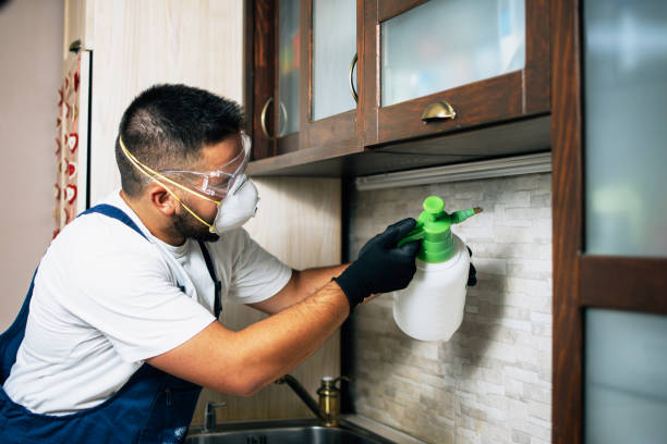 Best Pest Control for Homes  in Atlantic Beach, FL