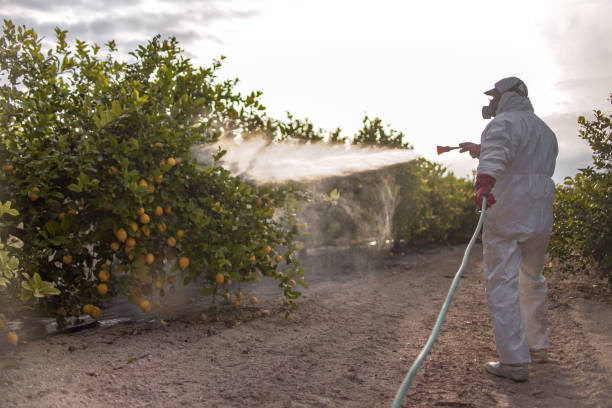 Best Exterminator Services  in Atlantic Beach, FL