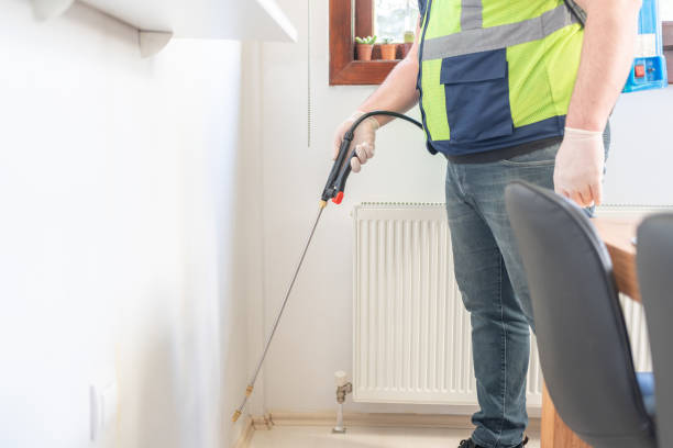 Best Affordable Pest Control Services  in Atlantic Beach, FL