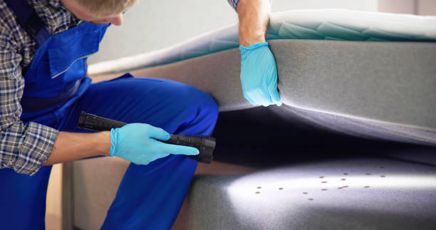 Best Commercial Pest Control Services  in Atlantic Beach, FL