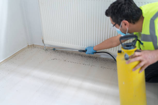 Best Rat Extermination Near Me  in Atlantic Beach, FL